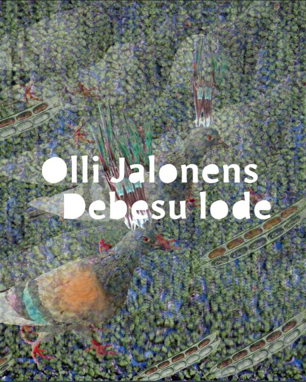 Olli Jalonens, Debesu lode, vāks